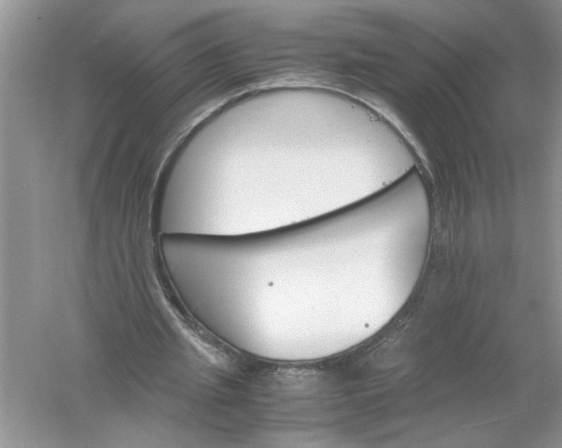 X0000061140437200512022251