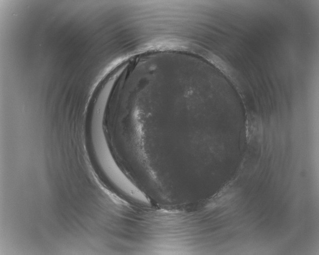 X0000061140438200512022251