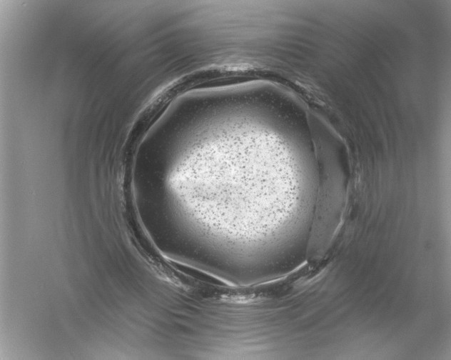 X0000061140440200512022252