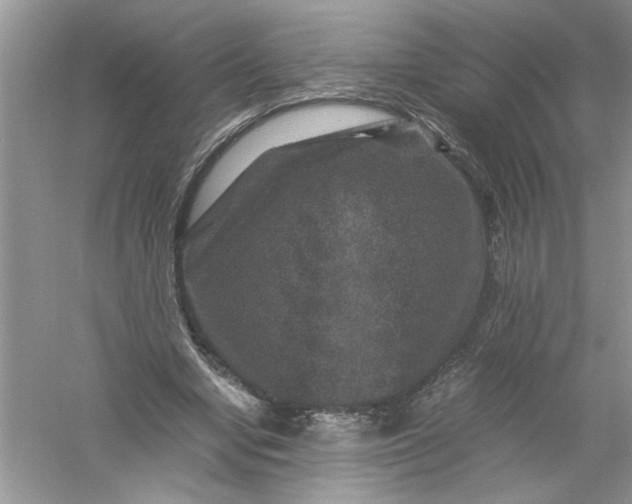 X0000061140442200512022252