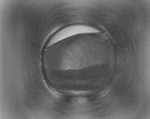 X0000061140443200512022252