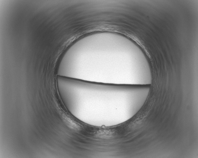 X0000061140445200512022252