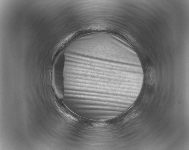 X0000061140446200512022252