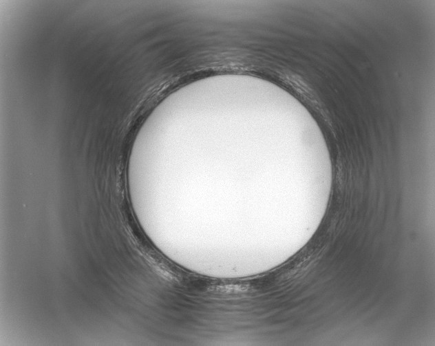 X0000061140449200512022252