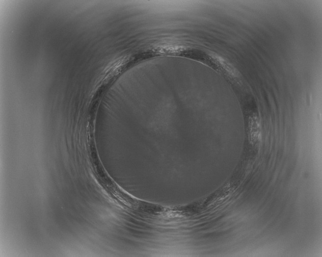 X0000061140451200512022252