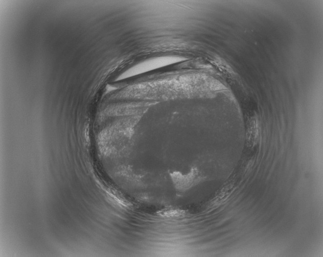 X0000061140452200512022252