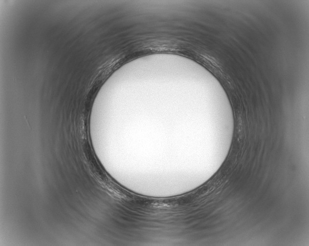 X0000061140453200512022252