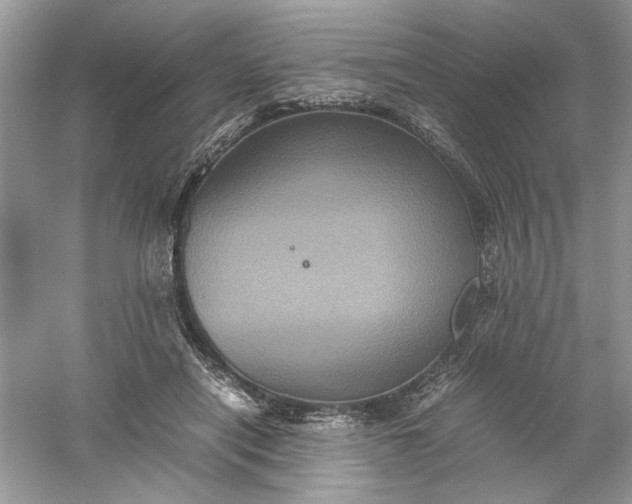 X0000061140454200512022252