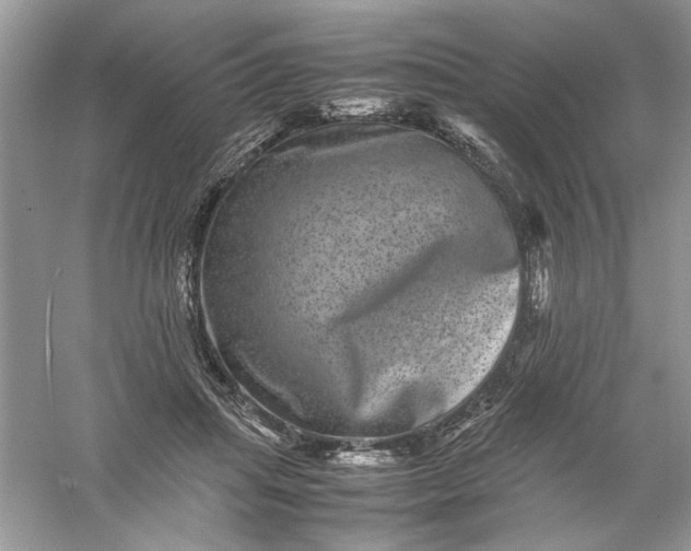 X0000061140455200512022252