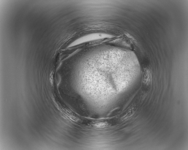 X0000061140456200512022252