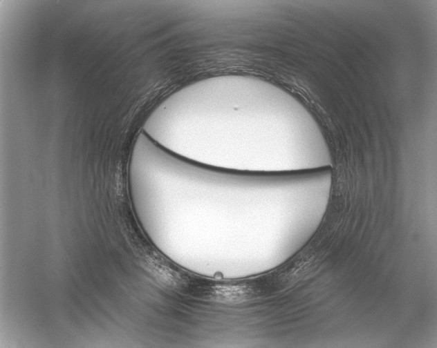 X0000061140457200512022252