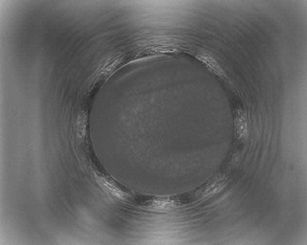 X0000061140458200512022252