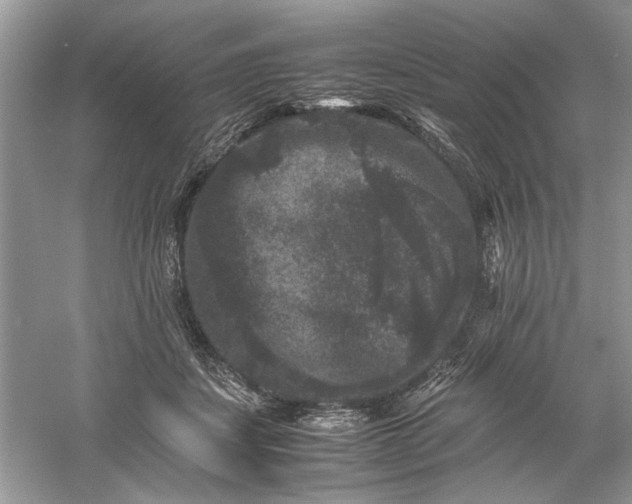 X0000061140459200512022252