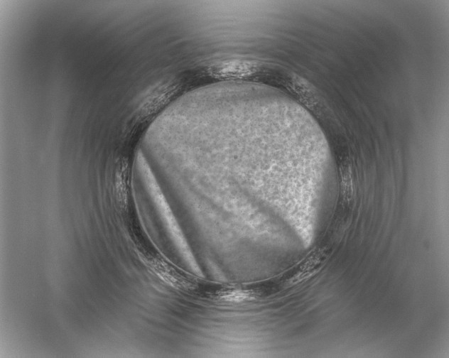 X0000061140460200512022252