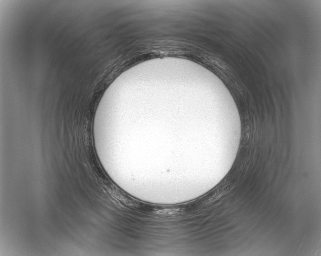 X0000061140461200512022252