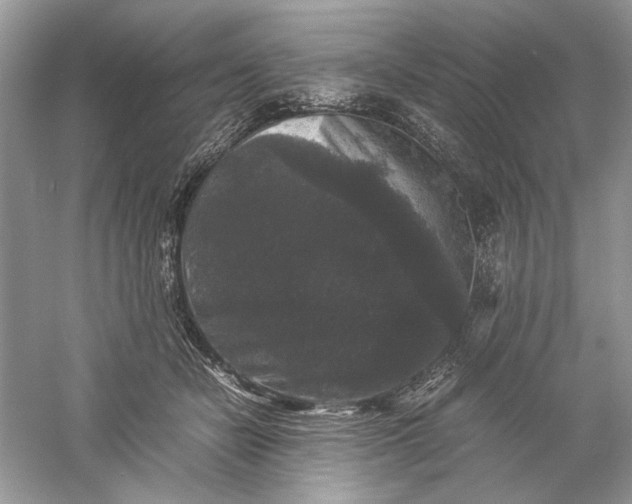 X0000061140462200512022252