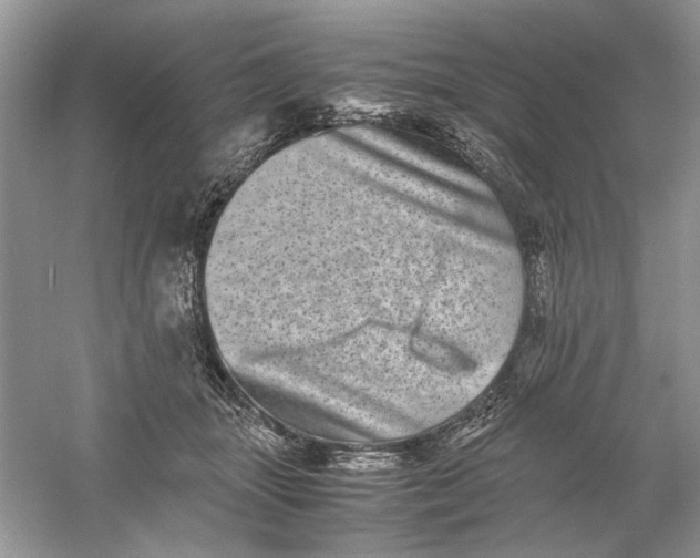 X0000061140463200512022252