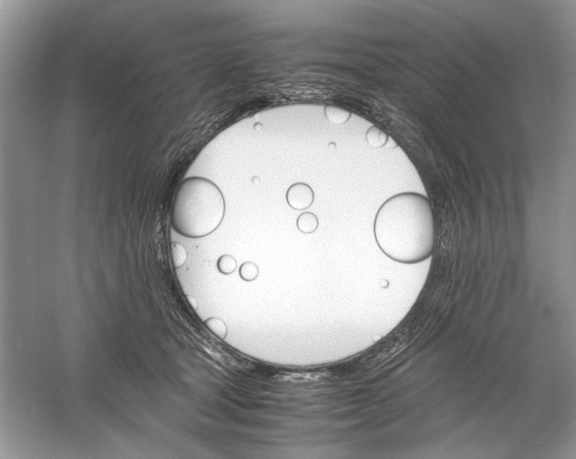 X0000061140465200512022252