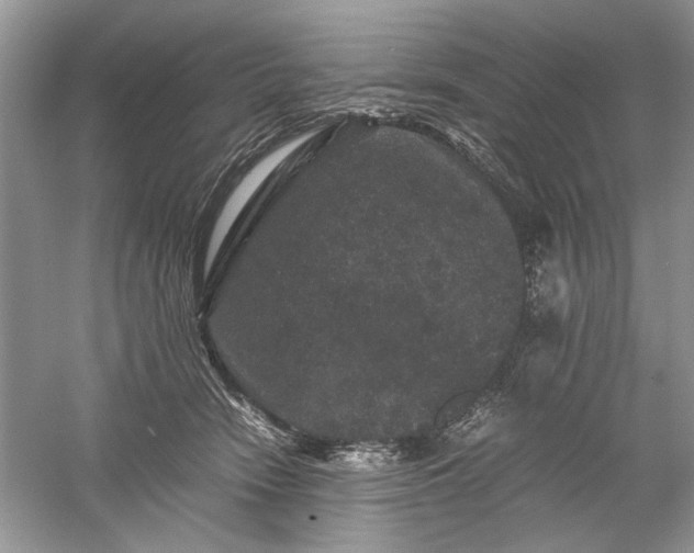 X0000061140466200512022252