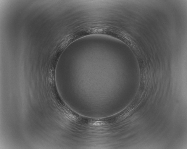 X0000061140467200512022252