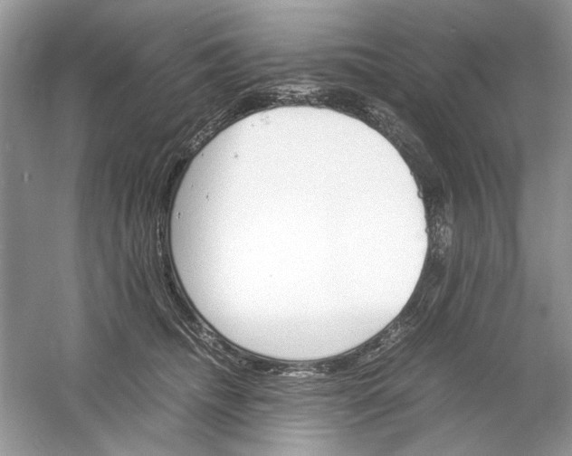 X0000061140468200512022252