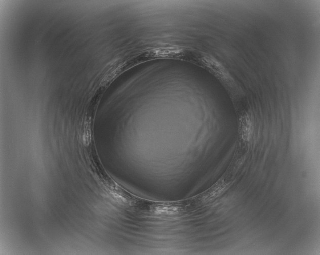 X0000061140471200512022252