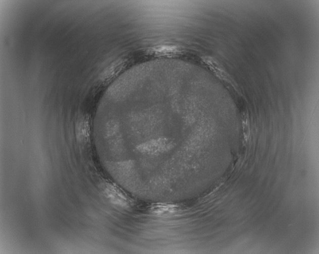 X0000061140472200512022252