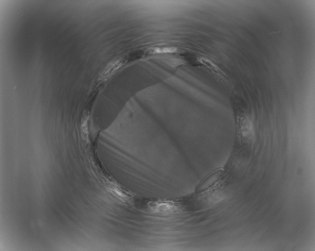 X0000061140475200512022252