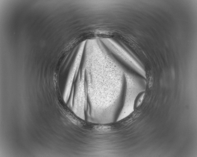 X0000061140476200512022252