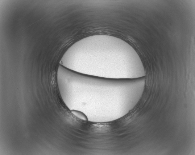 X0000061140477200512022252