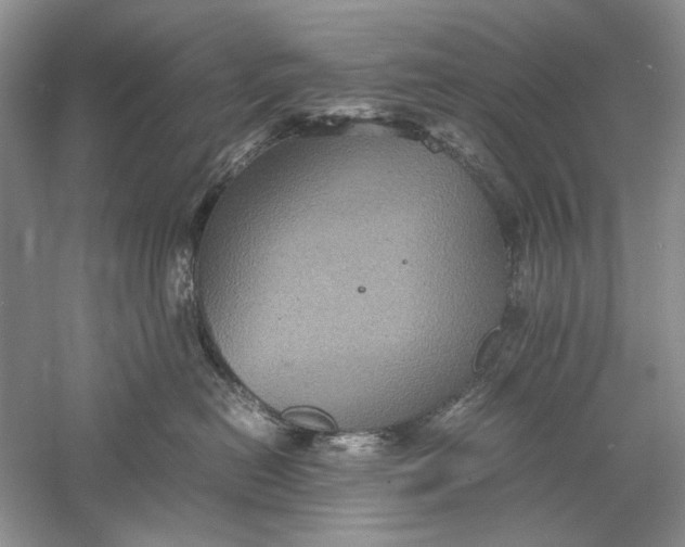 X0000061140478200512022252