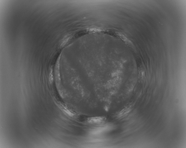 X0000061140479200512022252