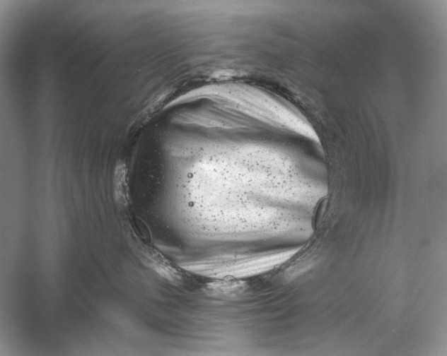 X0000061140480200512022252