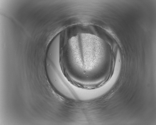 X0000061140481200512022251