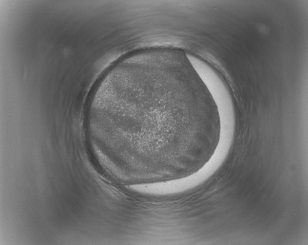 X0000061140483200512022251