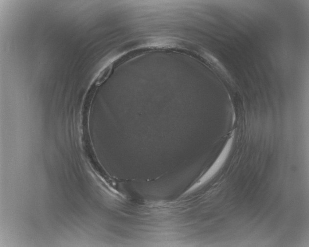 X0000061140484200512022251