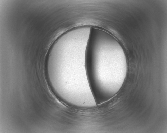 X0000061140485200512022251