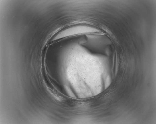 X0000061140486200512022251