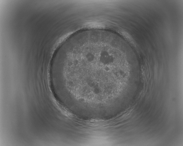 X0000061140487200512022251