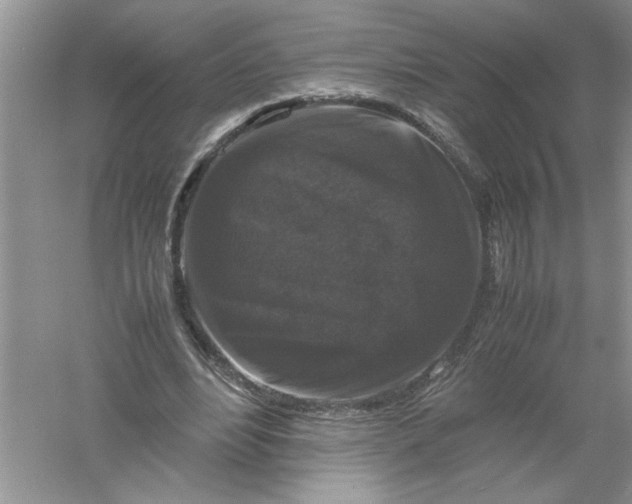 X0000061140488200512022251