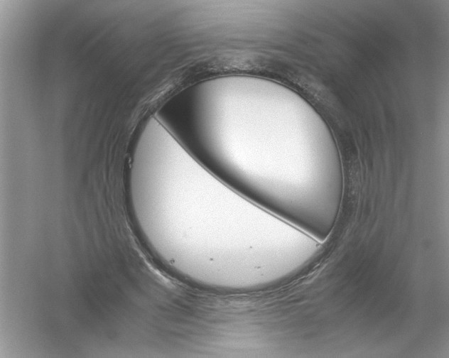 X0000061140489200512022251