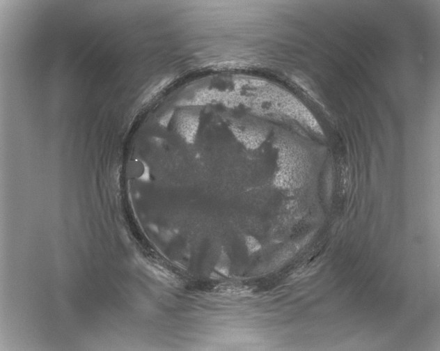 X0000061140491200512022251