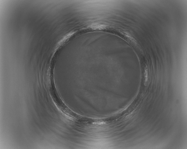 X0000061140492200512022251