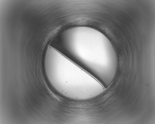 X0000061140493200512022251