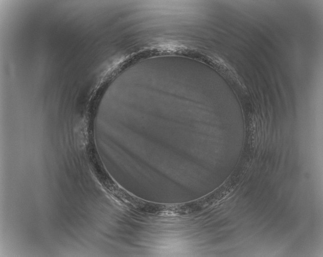 X0000061140496200512022251