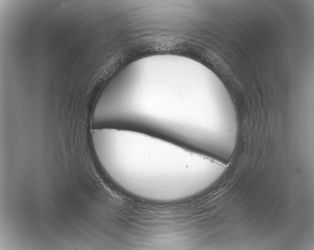 X0000061140497200512022251