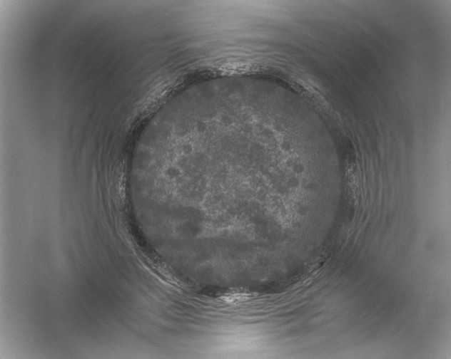 X0000061140499200512022251