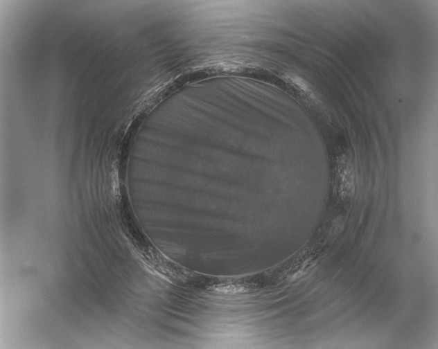 X0000061140500200512022251