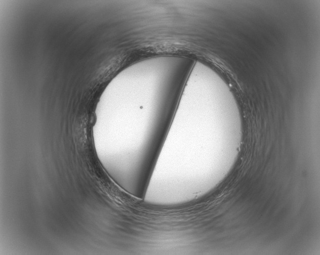 X0000061140501200512022251