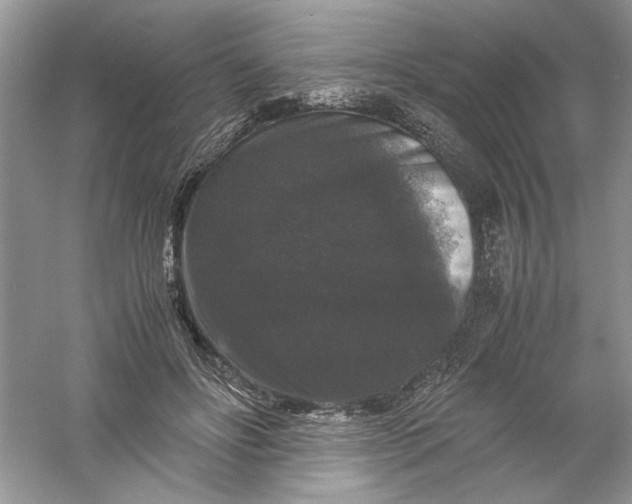 X0000061140502200512022251